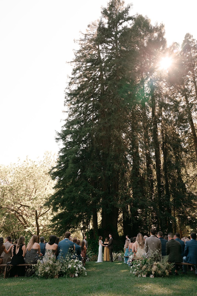 Golden hour forest ceremony